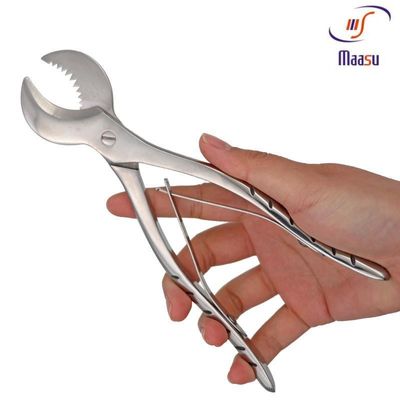 Ferramenta peridental dental de aço inoxidável das pinças 18CM do emplastro